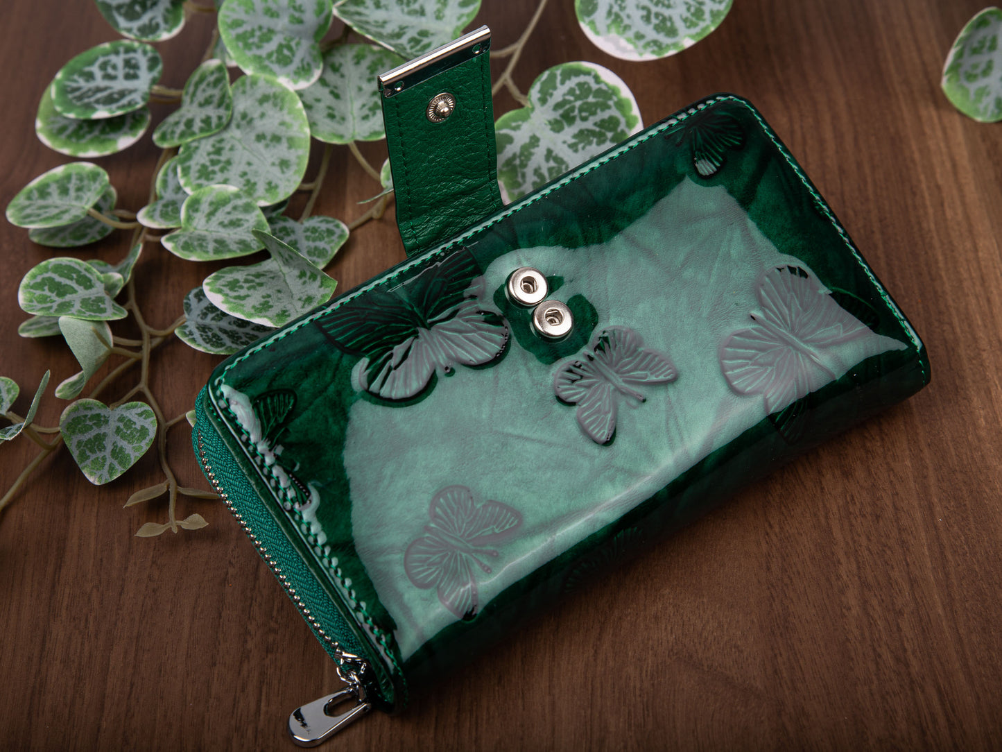 16684ccc253b60c869d6e09d5d46ba56